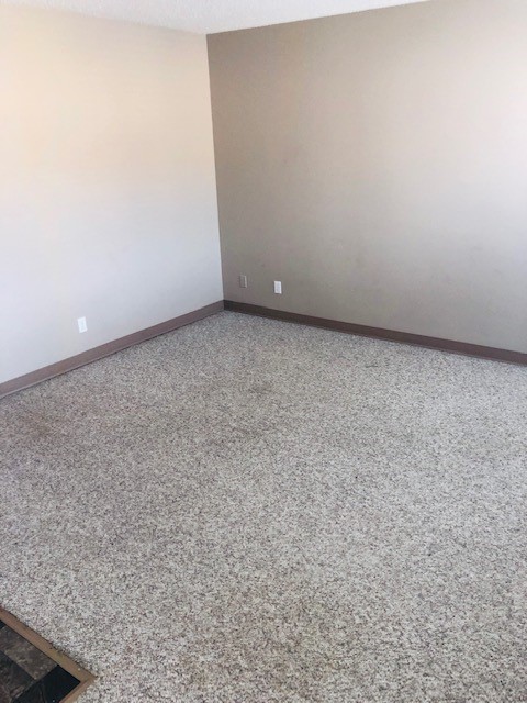 College DR Bachelor For Rent- September 1